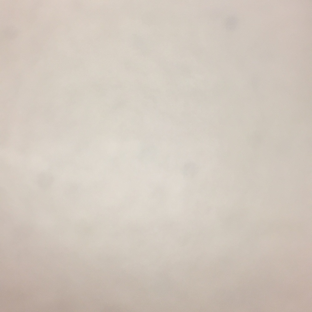 Meet your Posher, Heidi